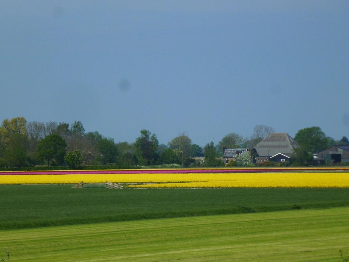 Het Burgemeestershuis Bed and breakfast